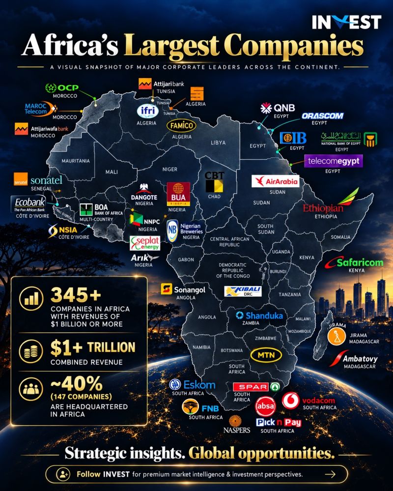 Africa&rsquo;s largest companies