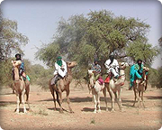 sahel chameliers